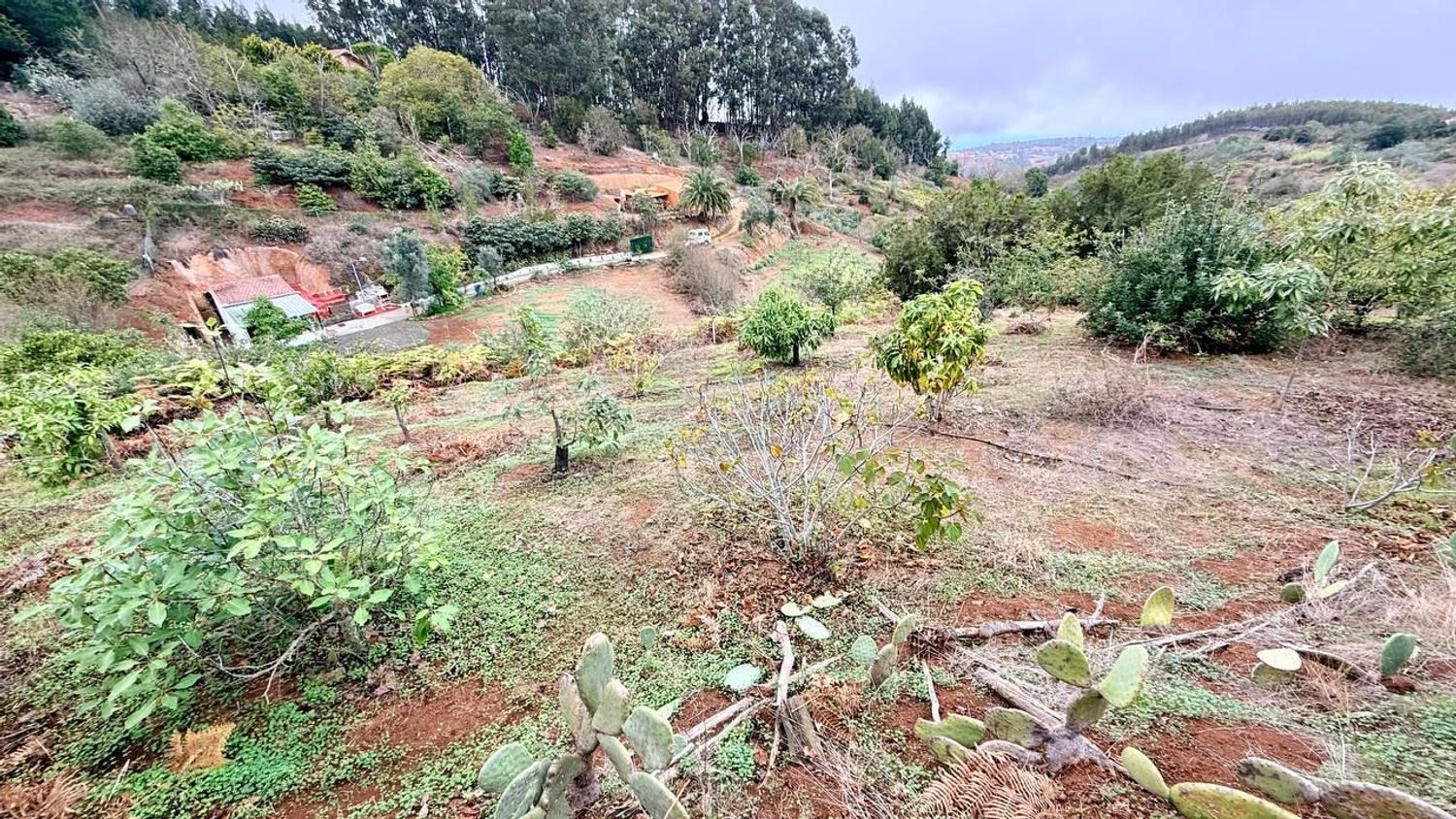 Finca rústica en Gc-704 s/n - Foto 21