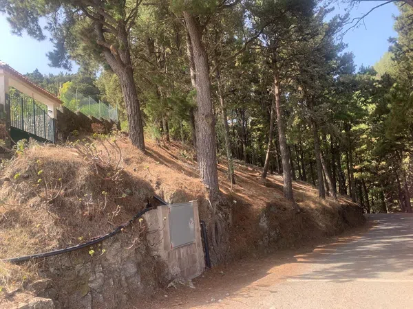 Finca rústica en Lugar Lomo de la Palma, 9 - Foto 26