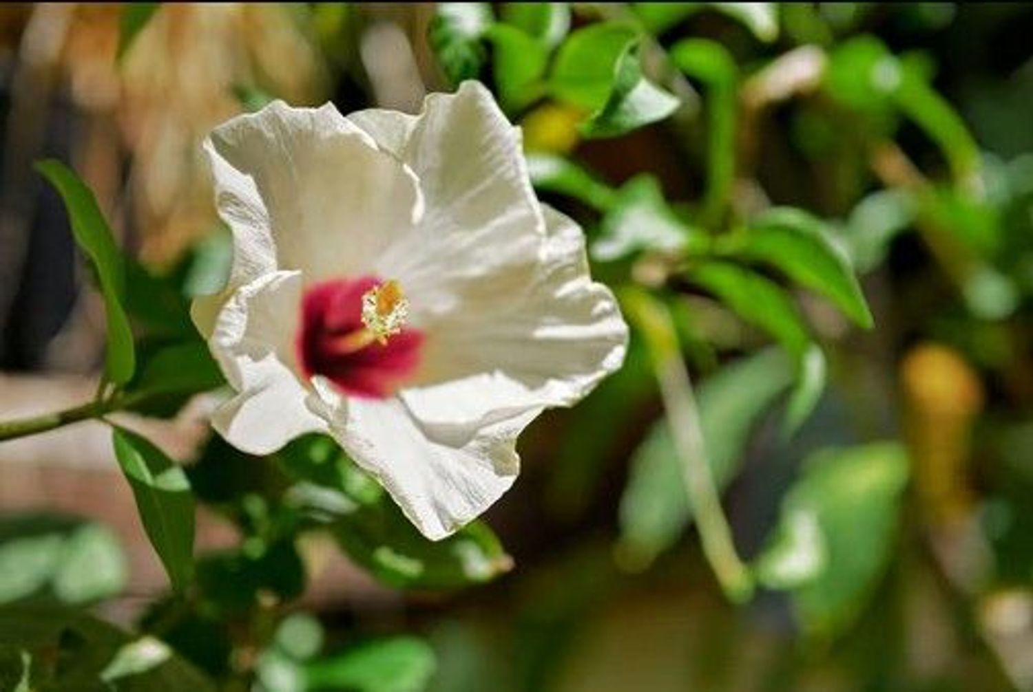 Estudio en calle Victorio, 8 - Foto 15