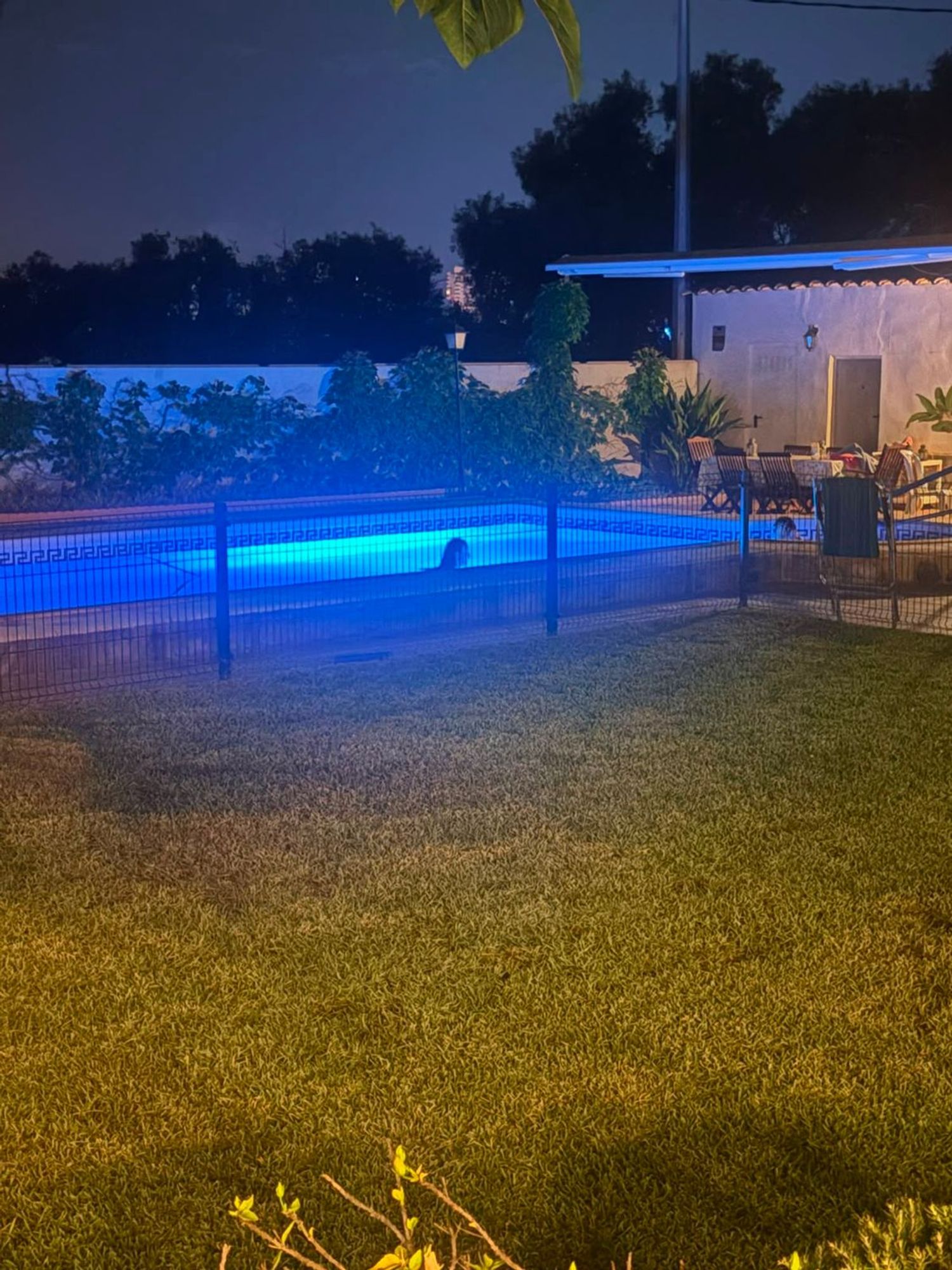 Casa o chalet independiente en Urbanización Condomina, 22, La Albufereta - Foto 9