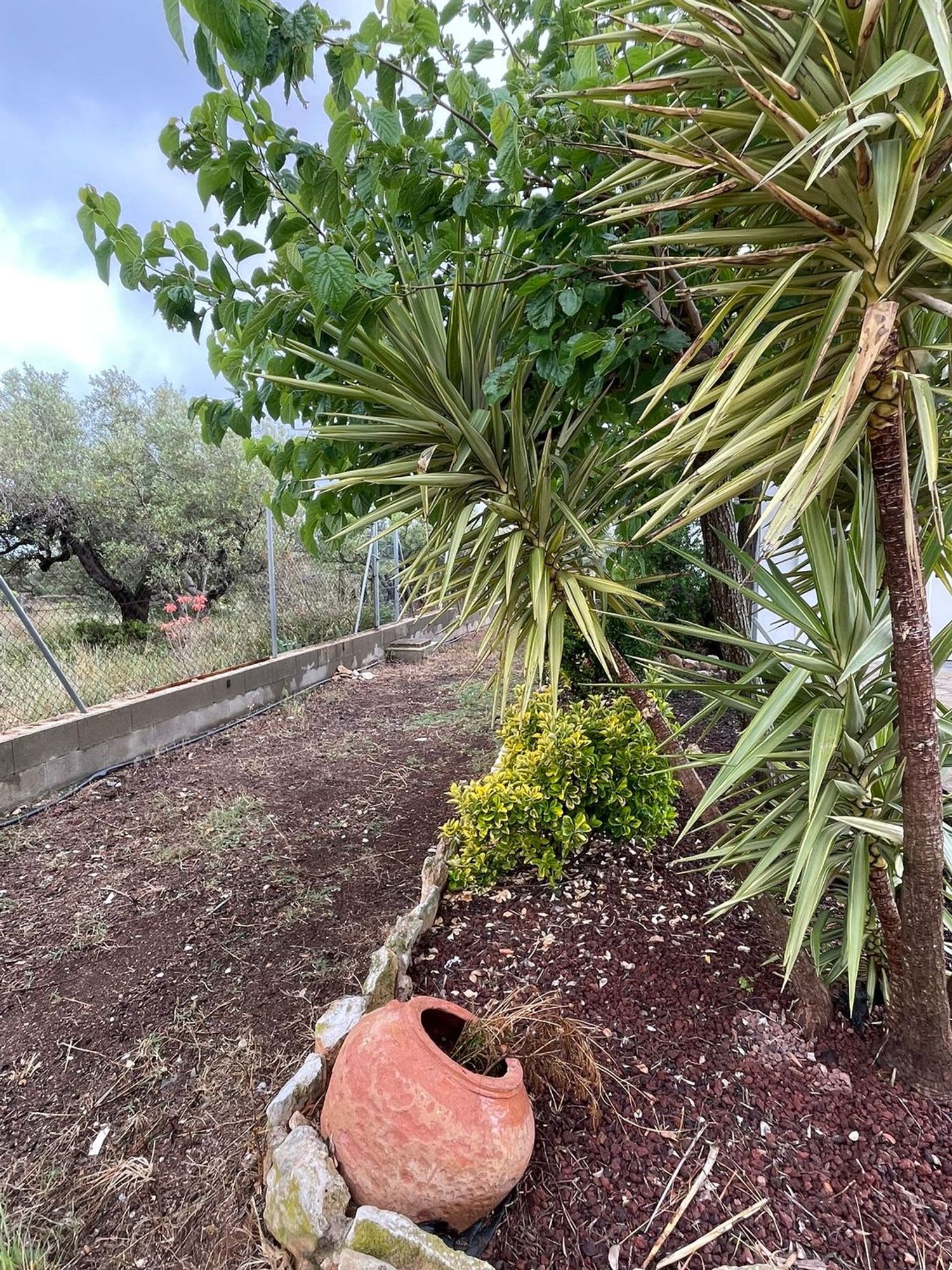 Casa rural en Via Polígono 73 parcela, 36, L'Ametlla de Mar, L'Ametlla de Mar - Foto 37