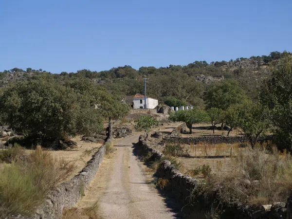 Finca rústica en N-521 s/n - Foto 19