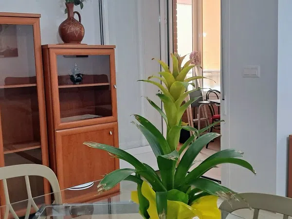 Piso en avenida Alcoi, 16 - Foto 7