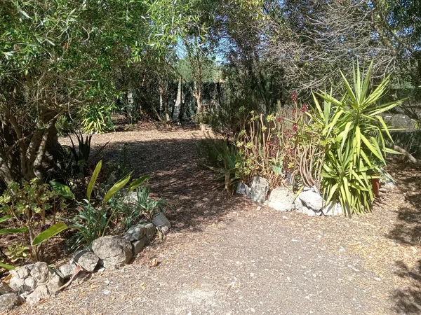 Finca rústica en Son santandreu, 541 - Foto 11
