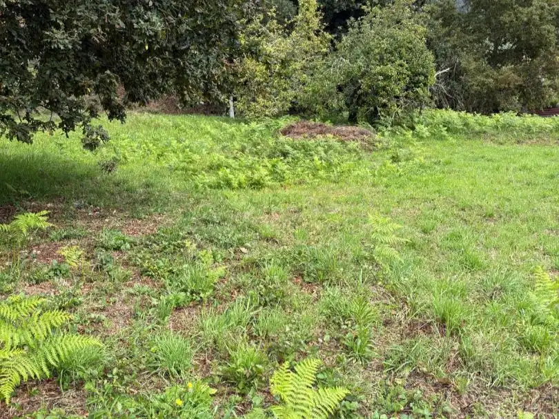 Terreno Residencial en  Camiño das Cortiñas 28 - Foto 3