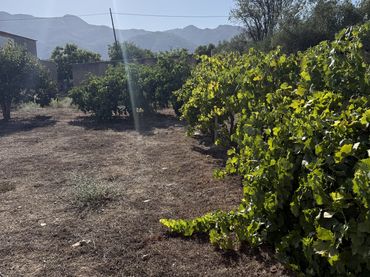 Finca rústica en  Placeta de Molina 2 - Foto 6