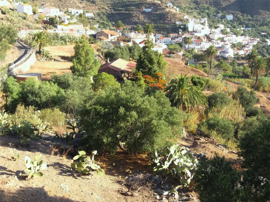 Finca rústica en calle Calle Espíritu Santo 15 - Foto 26