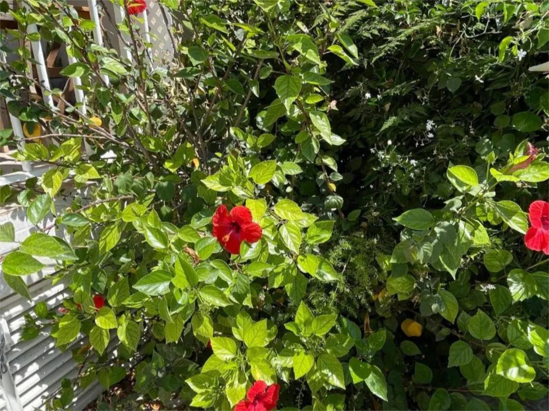 Piso en  Carrer de les Ones 8 - Foto 4