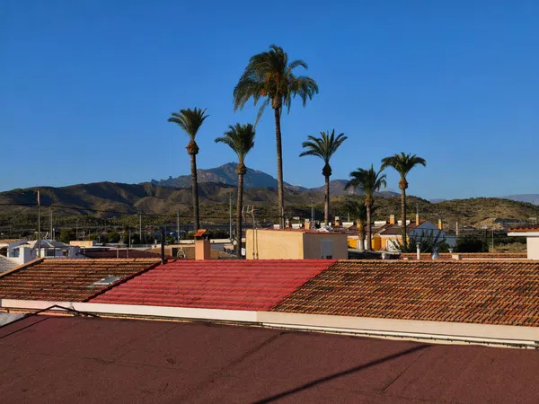 Chalet adosado en Calle del Músic Mestre Isaac Albeniz, 28, Campello Pueblo, Campello Pueblo - Foto 19