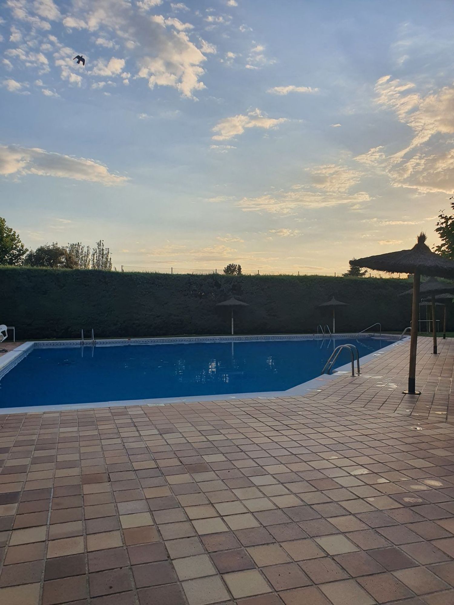 Piso en Avenida de Mallorca, 16, El Pinar- Punta Galea - Foto 5