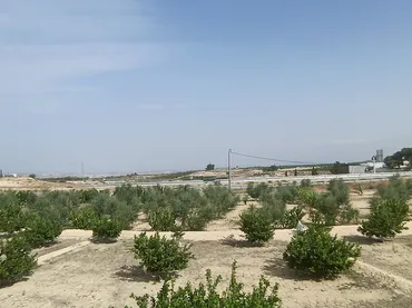 Finca rústica en  Autovía de Murcia 582 - Foto 9