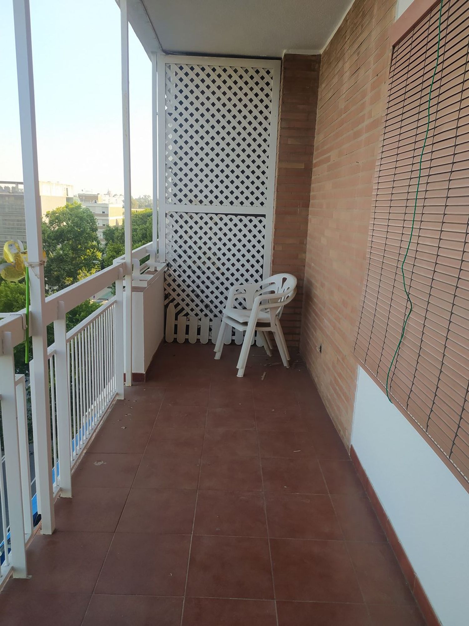 Piso en avenida de la Reina Mercedes, 19