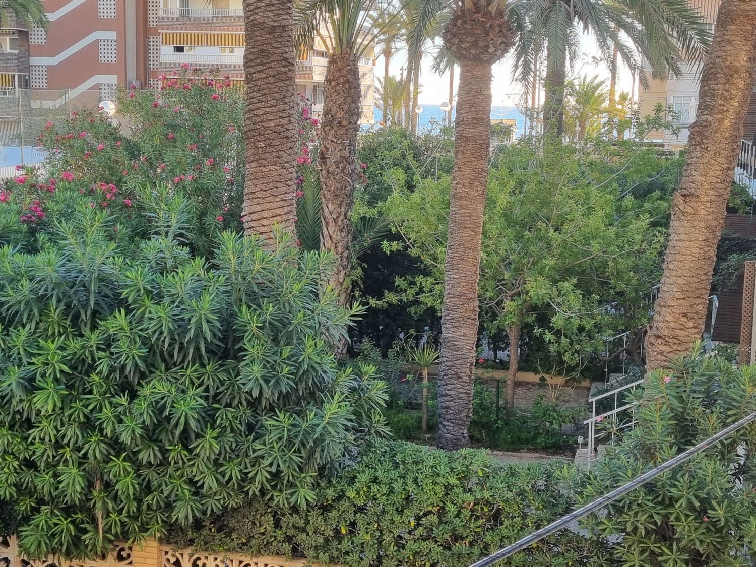 Piso en Avenida de la Costa Blanca, 146, Playa de San Juan - Foto 21