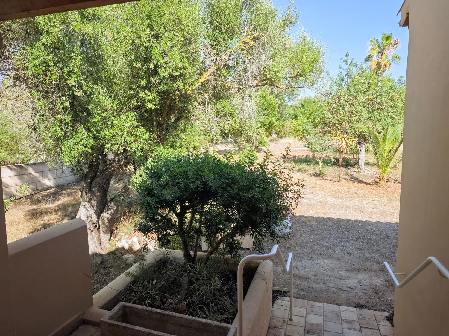 Casa independiente en Diseminado 8609- Sant Jordi, 8 - Foto 16