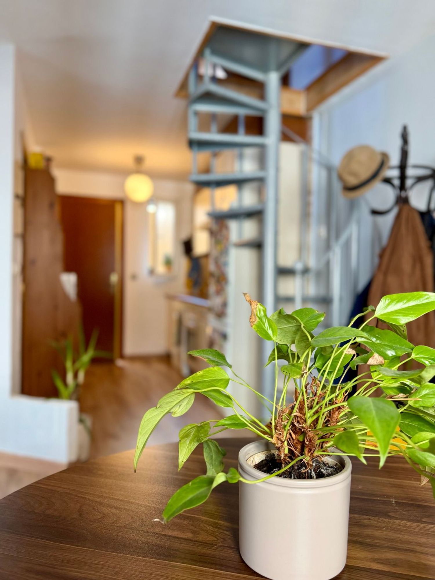 Dúplex en calle de las Matas, Madrid, 13 bis - Foto 9