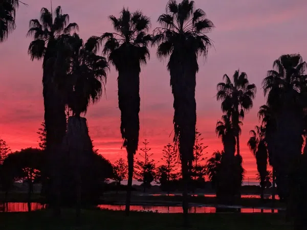 Dúplex en Avenida Reina Sofía, 23, Costa Ballena Golf, Costa Ballena Golf - Foto 16