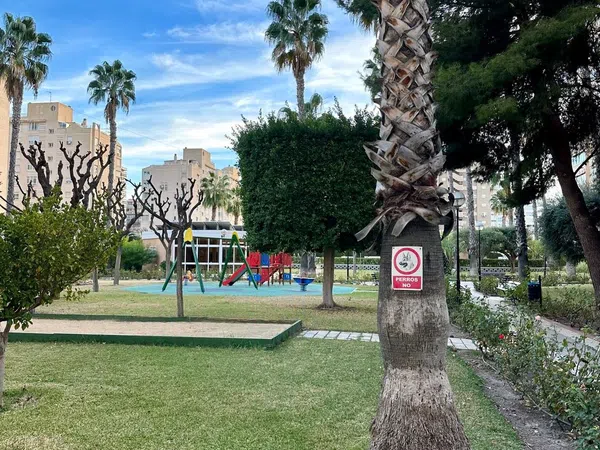 Piso en Avenida Santander, 31, Playa de San Juan - Foto 12