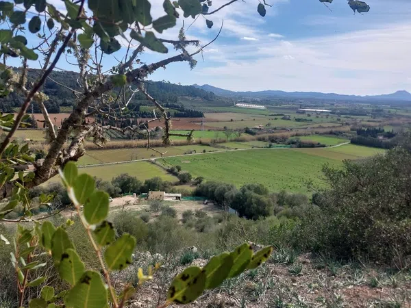 Casa rural en Camino de ses Rotes de sa Canova, 15 - Foto 9