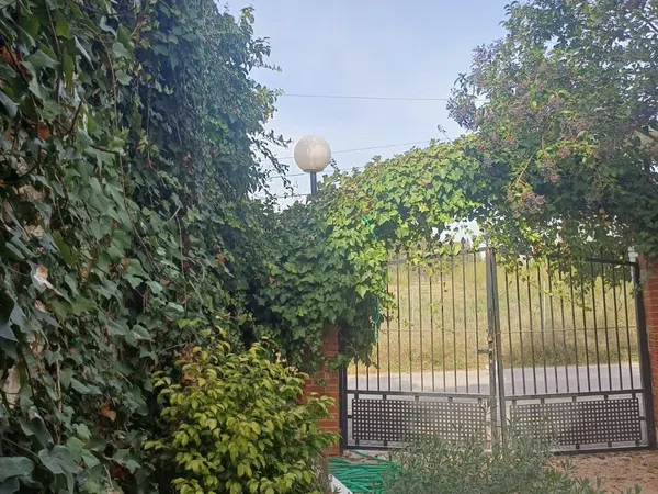 Casa independiente en Av vereda Real, 15 - Foto 14