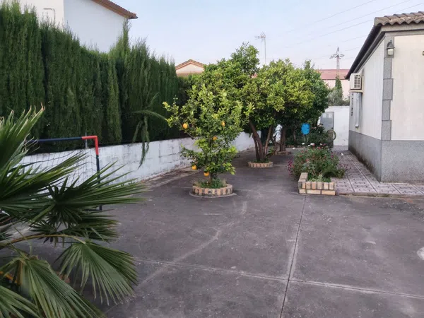 Casa o chalet independiente en Avenida las Quemadas, 10 - Foto 16