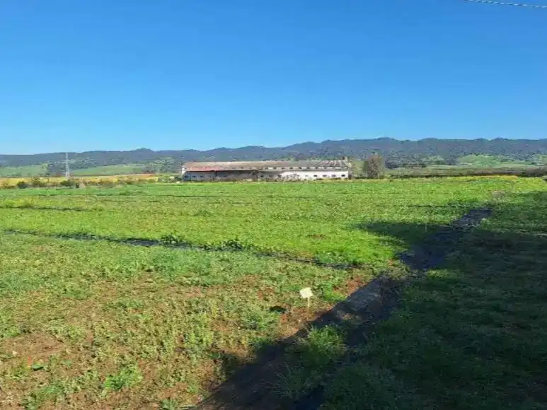 Piso en  Carretera Palma del Río km 10 - Foto 5