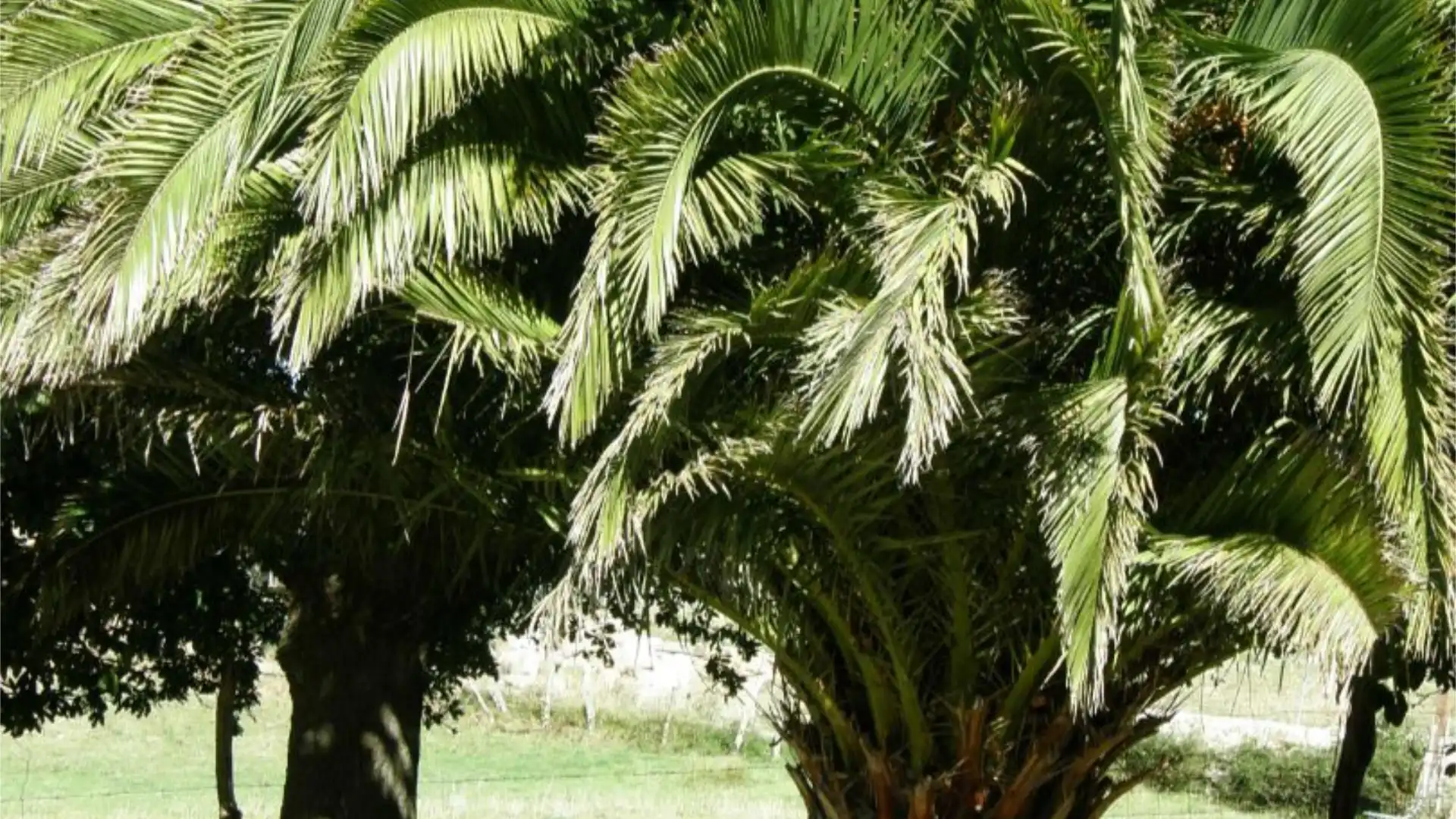 Piso en  Caserio la Braña 9 - Foto 6