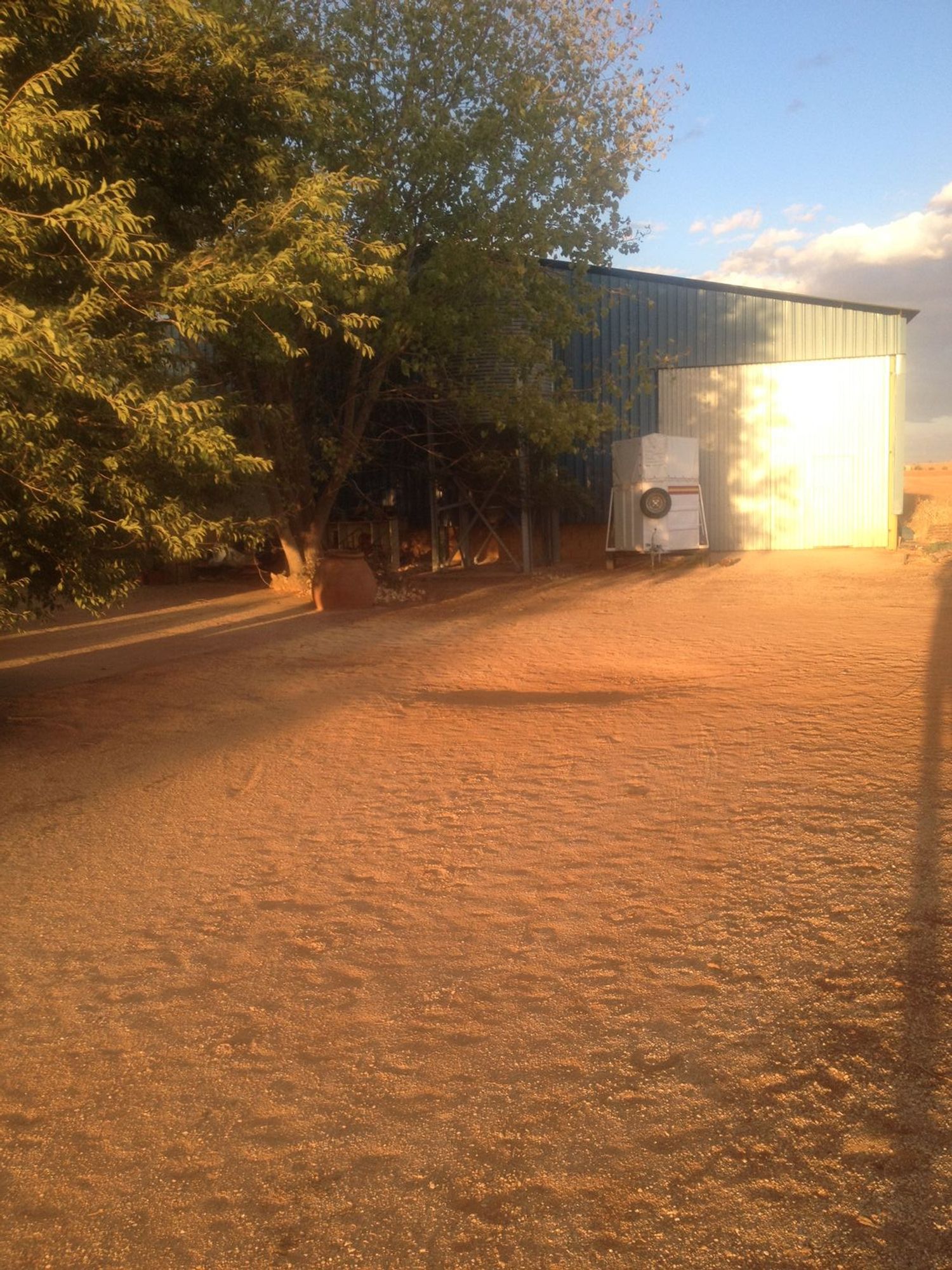 Finca rústica en Carretera de Ossa de Montiel s/n - Foto 4