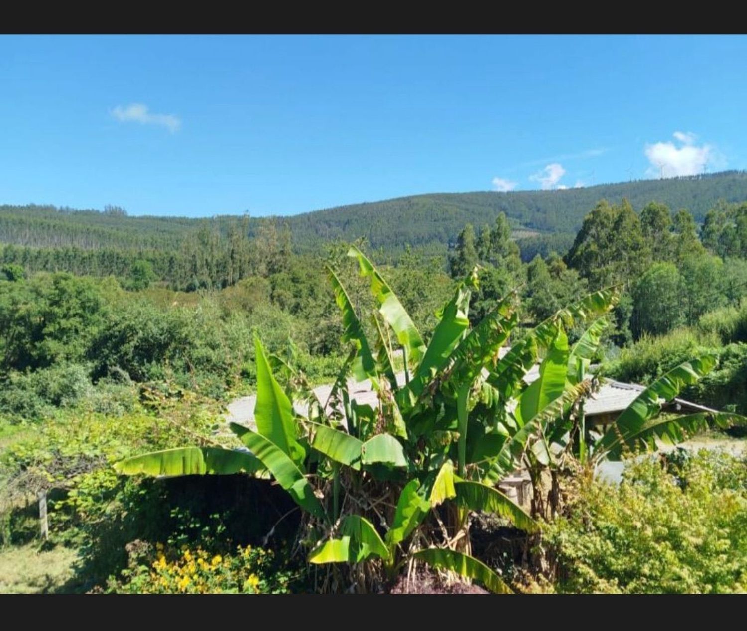 Finca rústica en A felgueira s/n - Foto 18