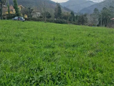 Finca rústica en  Carretera de Brieves 950 - Foto 4