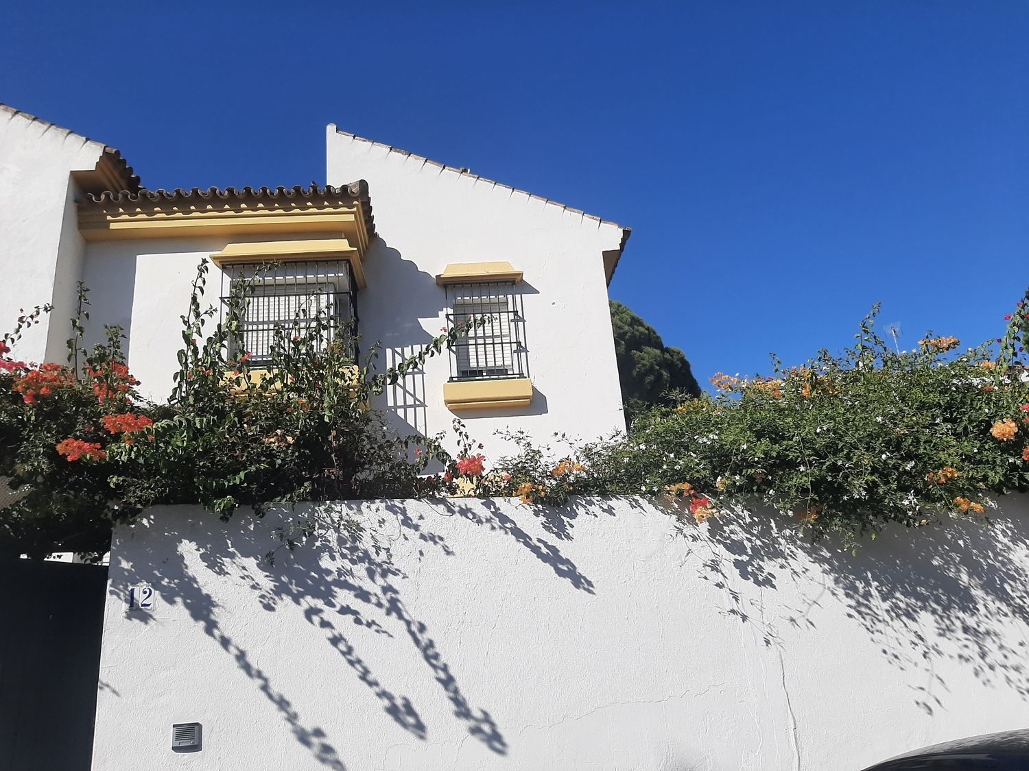 Casa o chalet independiente en Calle Jabeque, 12, El Manantial - Foto 10