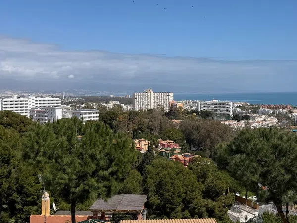 Estudio en alto del Pinar, 2 - Foto 1