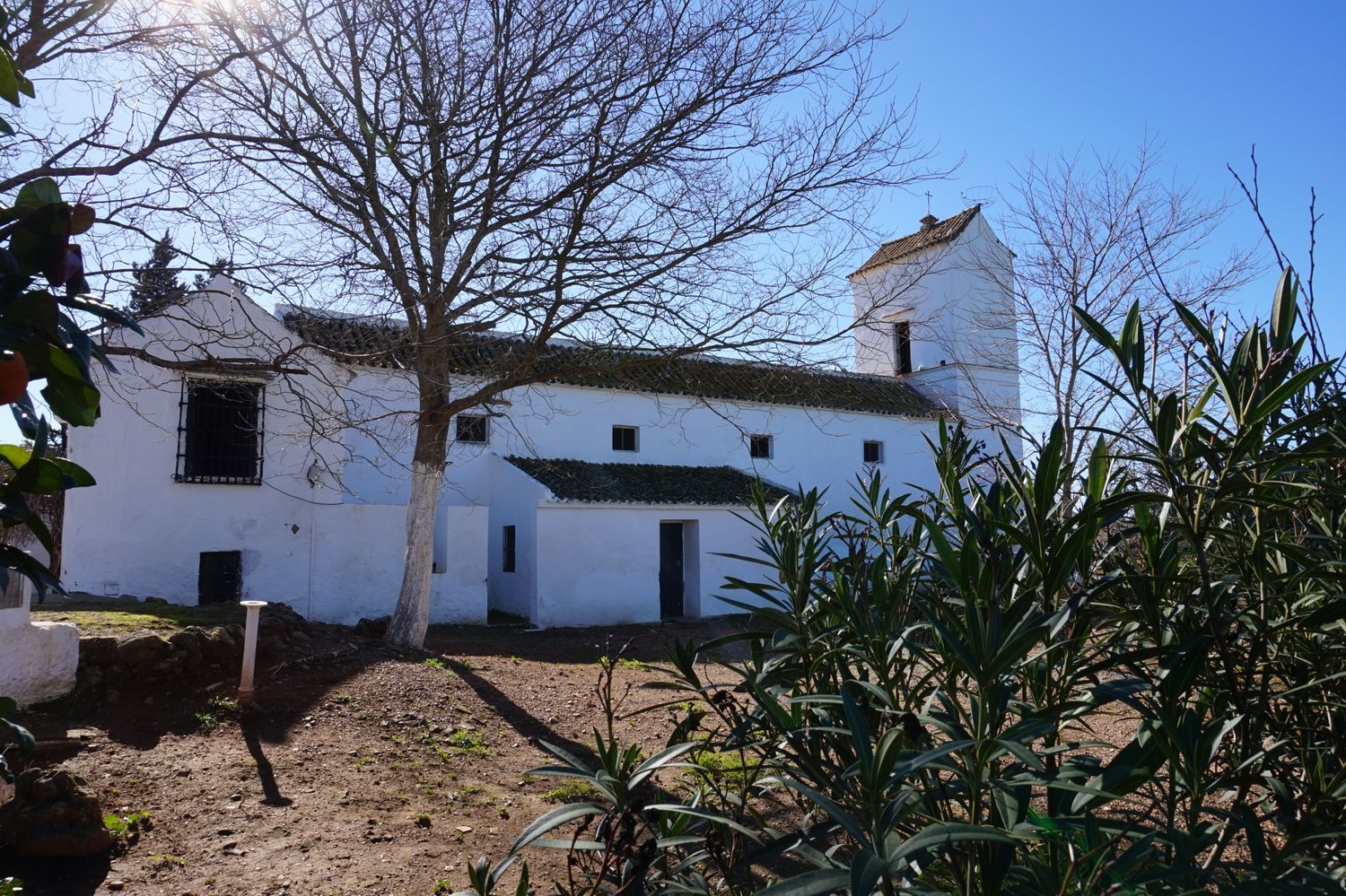 Cortijo en Cortijo en Carretera Mairena del Alcor, Brenes, 4 Km - Foto 5