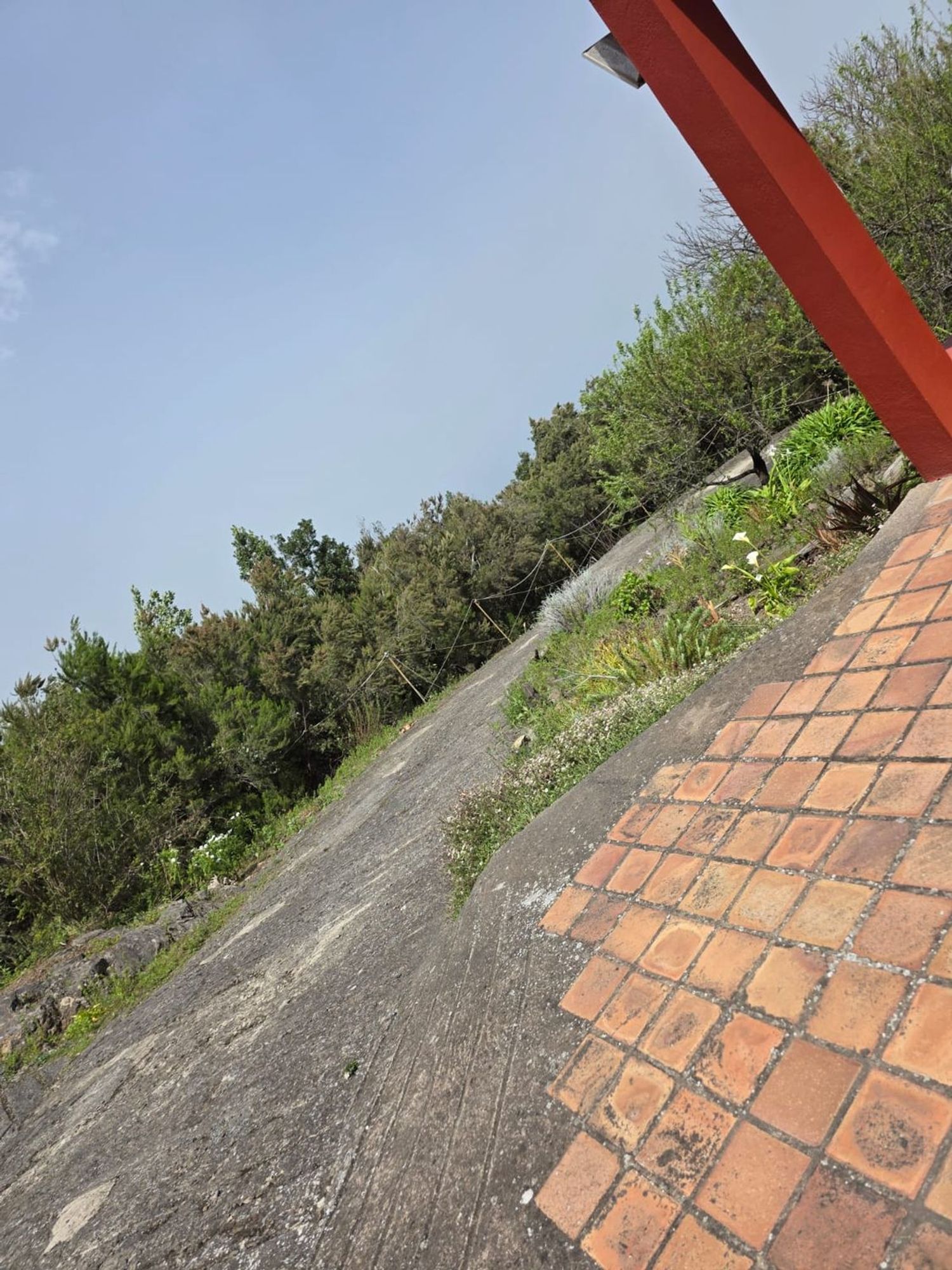 Finca rústica en Camino Cueva del Negro, 25 - Foto 6