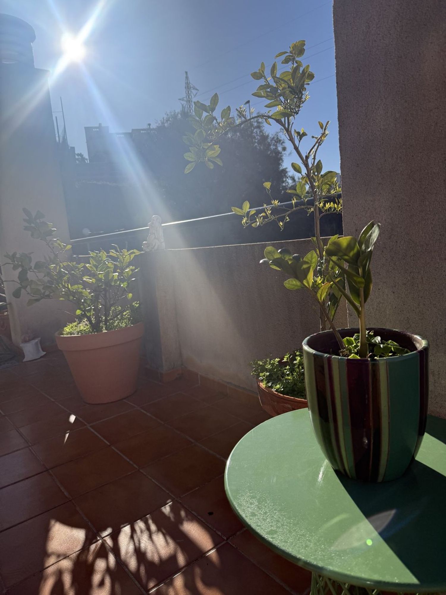 Ático en calle Verdial, 29 - Foto 11