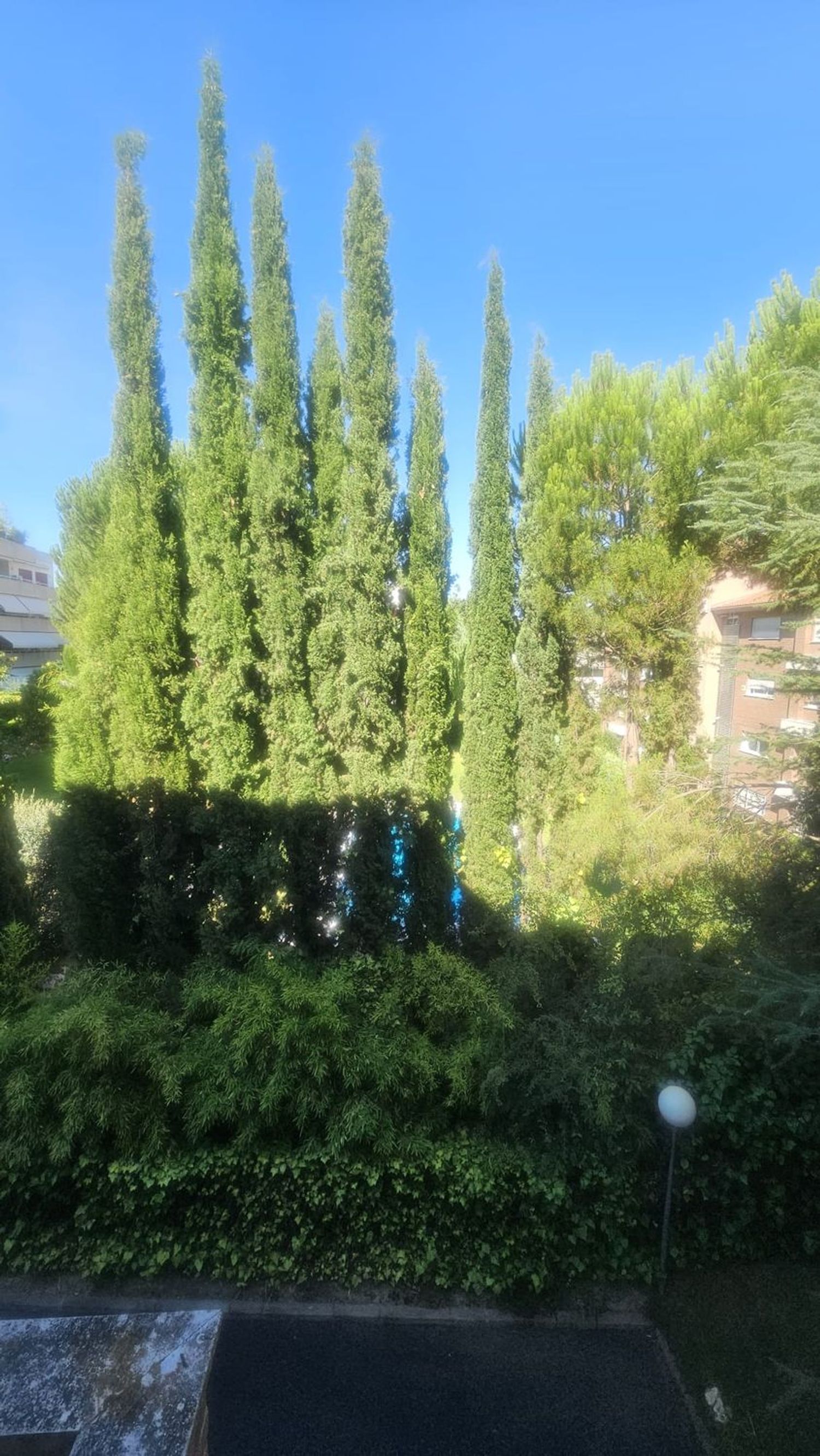Dúplex en Calle de la Begonia, 60, El Soto de la Moraleja, El Soto de la Moraleja - Foto 15