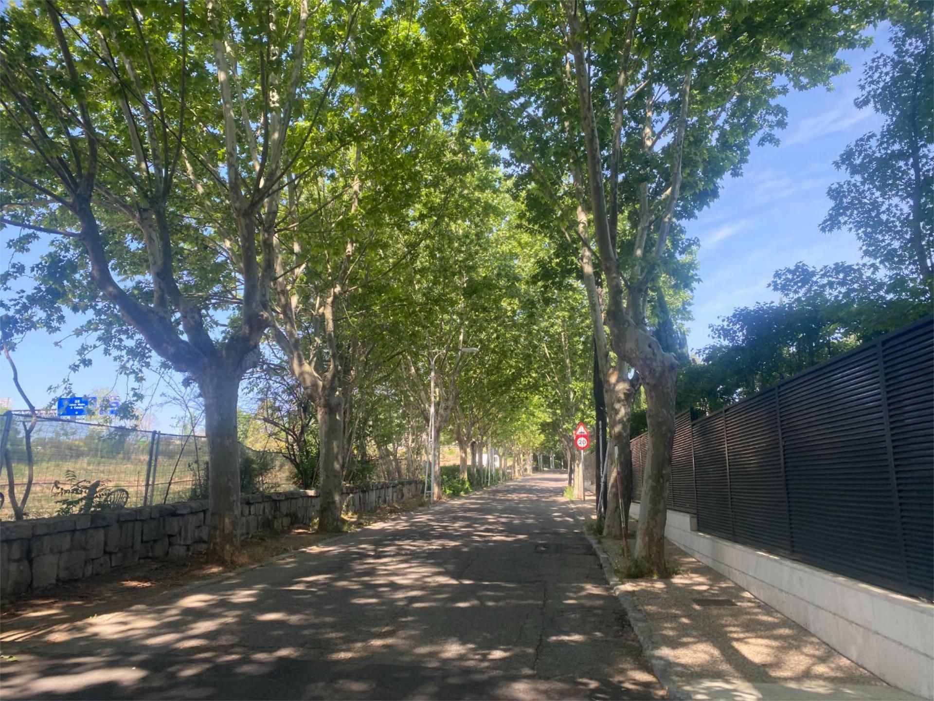 Chalet en  Calle Motrico 4 - Foto 5