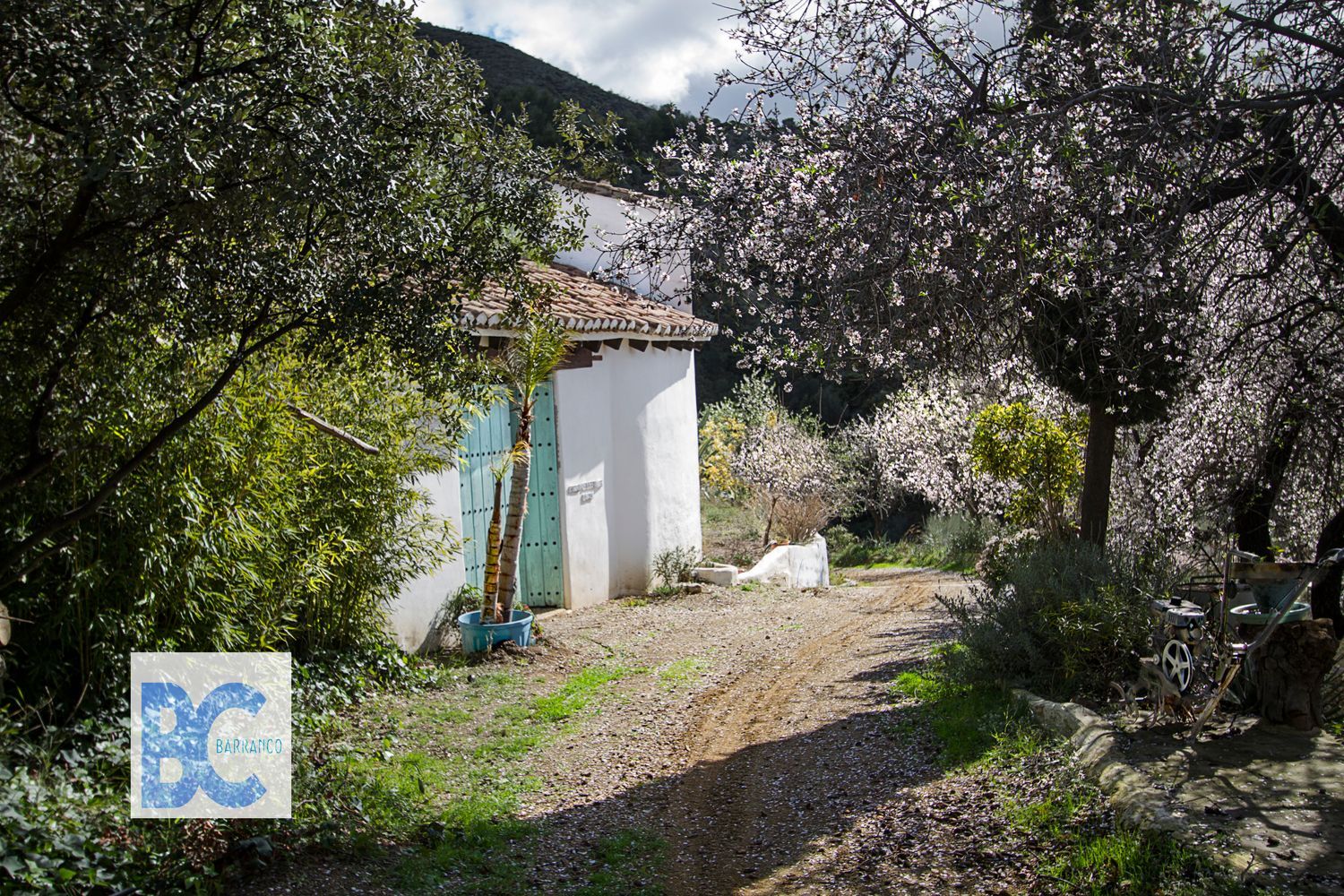 Cortijo en Cortijo en Camino rio seco, 1, Almuñecar Centro, Almuñecar Centro - Foto 4