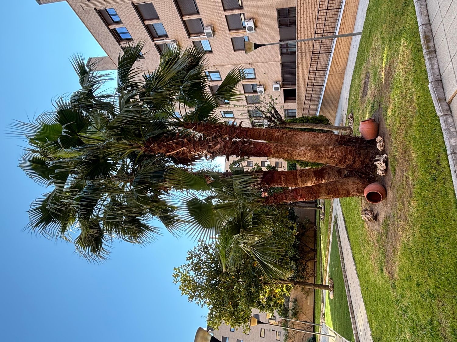 Piso en calle Coslada, 18 - Foto 14