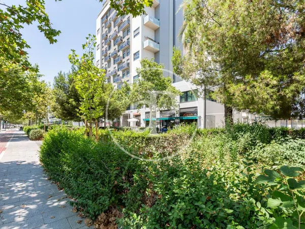 Ático en Calle d'Antonio Ferrandis, Ciutat de les Arts i de les Ciencies - Foto 58