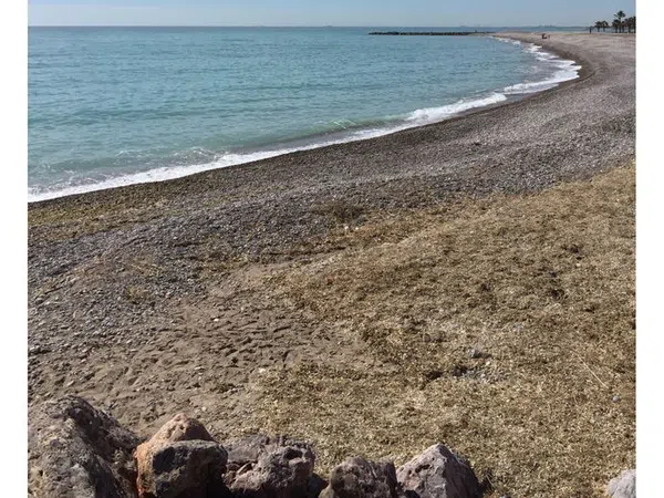 Piso en Camino Tamarit, 25, Moncófar playa, Moncófar playa - Foto 4