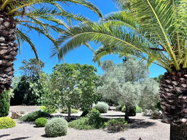 Finca rústica en Avenida de Cala Llombards, 31, Cala Llombards, Cala Llombards - Foto 37