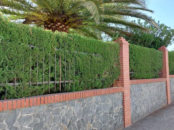 Casa independiente en avenida Paraiso, 18 - Foto 11