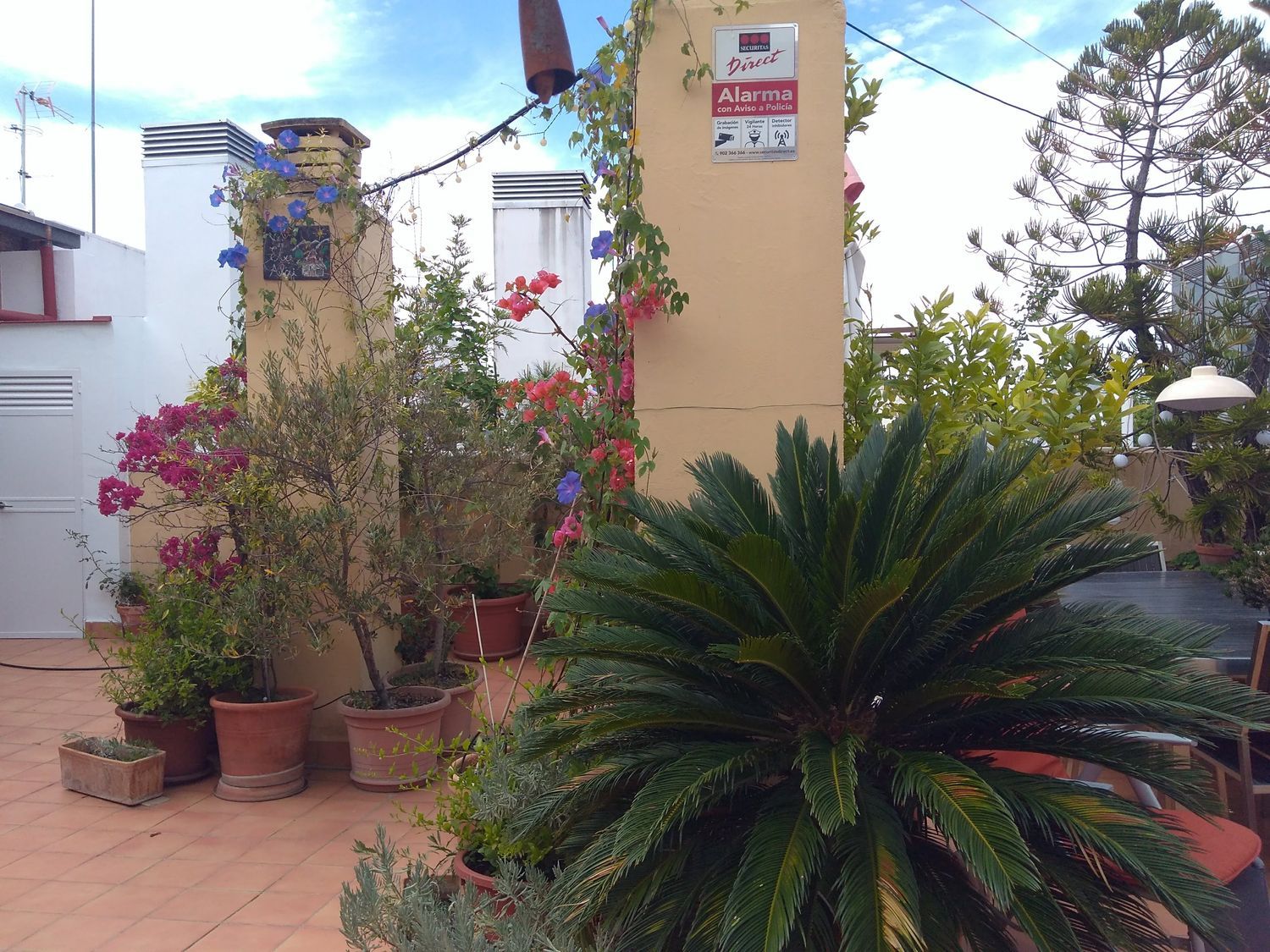 Ático en calle Rastro, 22 - Foto 3