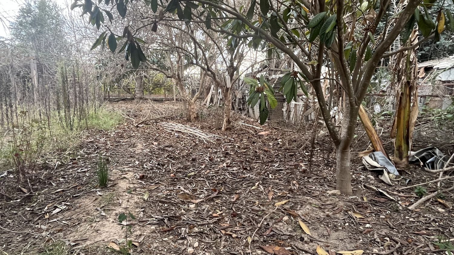 Casa independiente en Diseminado Mundo Nuevo, 19 a - Foto 9