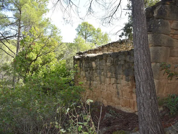 Finca rústica en 12, 20 - Foto 17