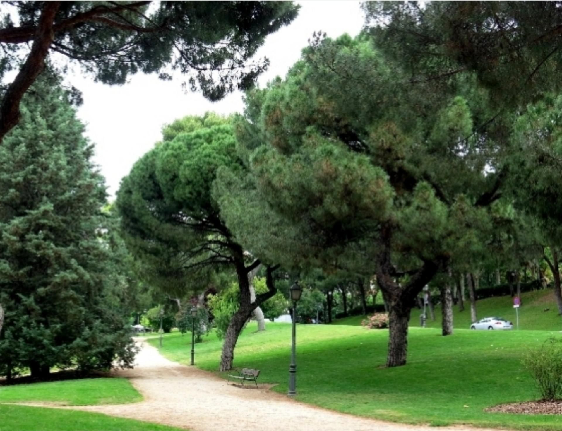 Piso en calle Calle Cadarso 21 - Foto 2