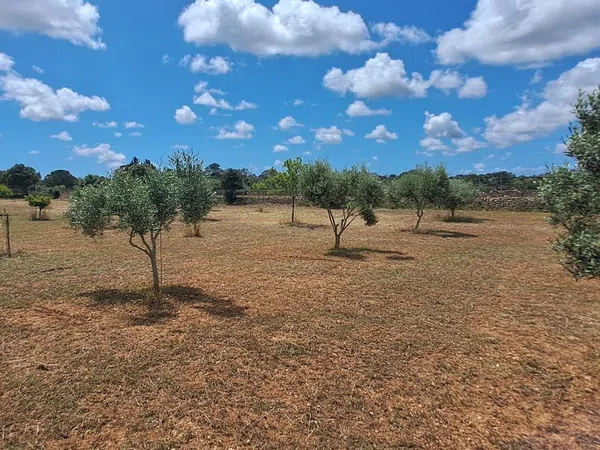 Finca rústica en Llucmajor Interior - Foto 24