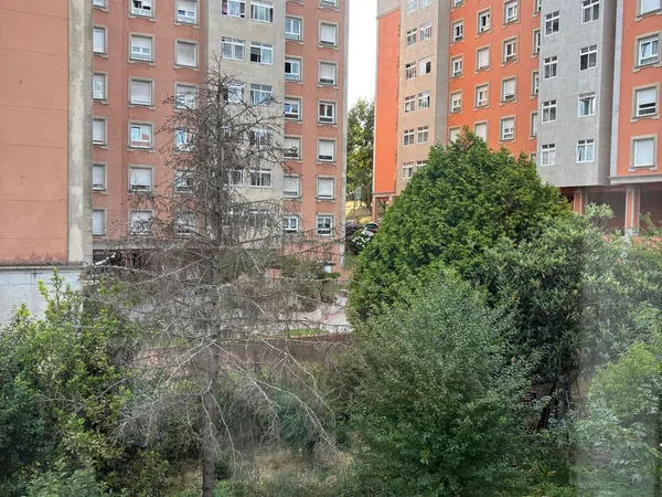 Casa o chalet independiente en Travesía Primera Pastora 2, 13, A Salgueira - O Castaño - Foto 19