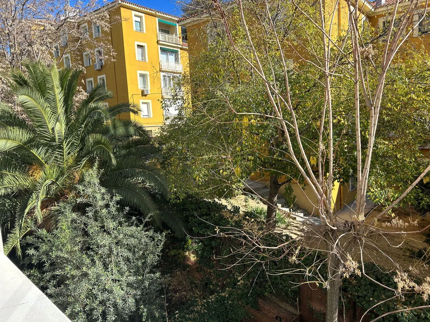 Piso en paseo de la Habana - Foto 2