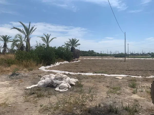 Finca rústica en Carretera de Elche a Casas del León, 30, Algoda-Matola-Llano de San José, Algoda-Matola-Llano de San José - Foto 5